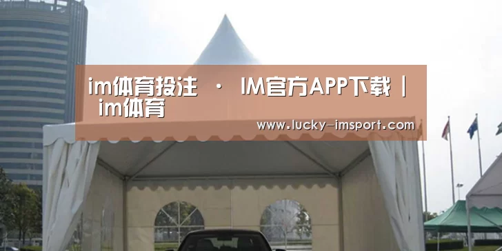 案例标题八