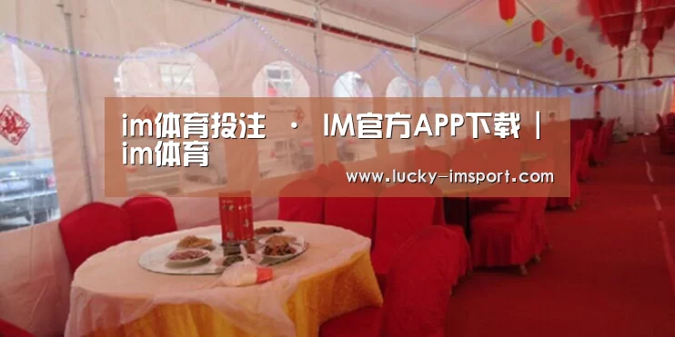 案例标题二