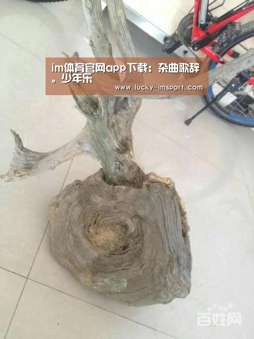 im体育官网app下载:杂曲歌辞。少年乐