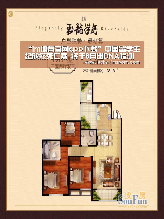 im体育下载