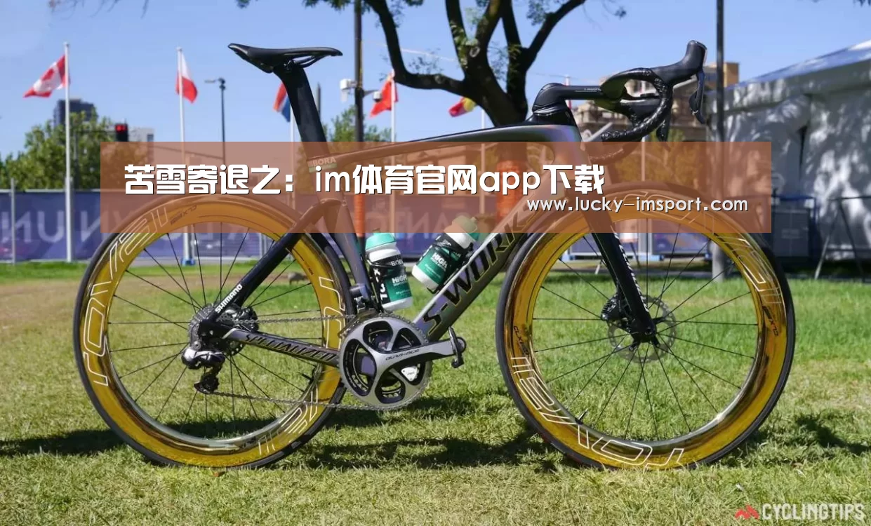 im体育官方在线入口