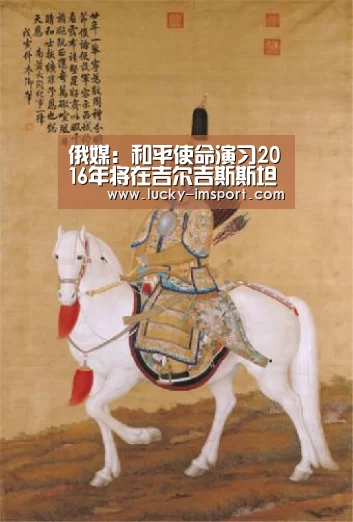 im体育下载