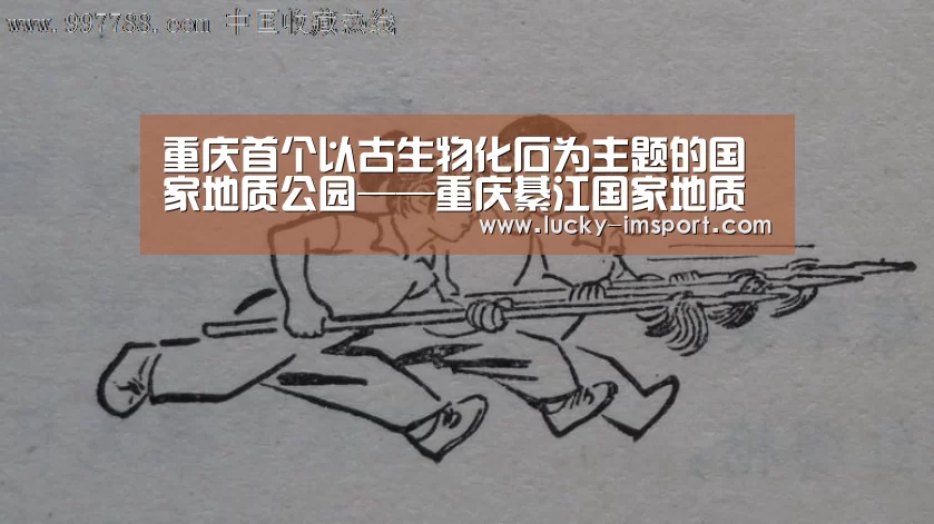 im体育下载