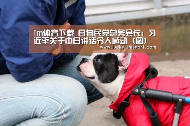 im体育下载_日自民党总务会长：习近平关于中日讲话令人感动（图）