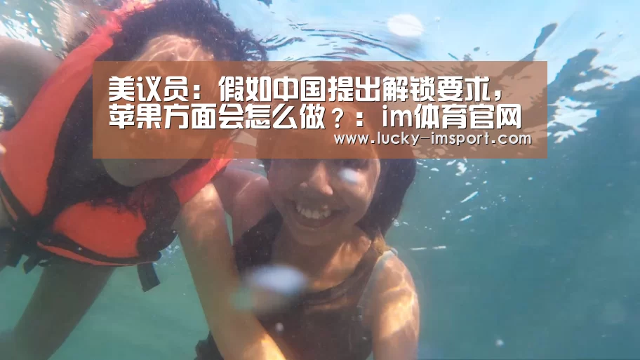 im体育下载