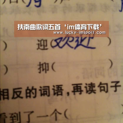 im体育官方在线入口