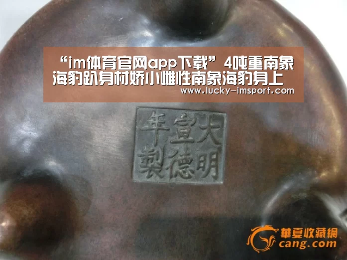“im体育官网app下载”4吨重南象海豹趴身材娇小雌性南象海豹身上交配(图)