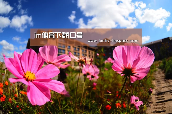 im体育官网app下载
