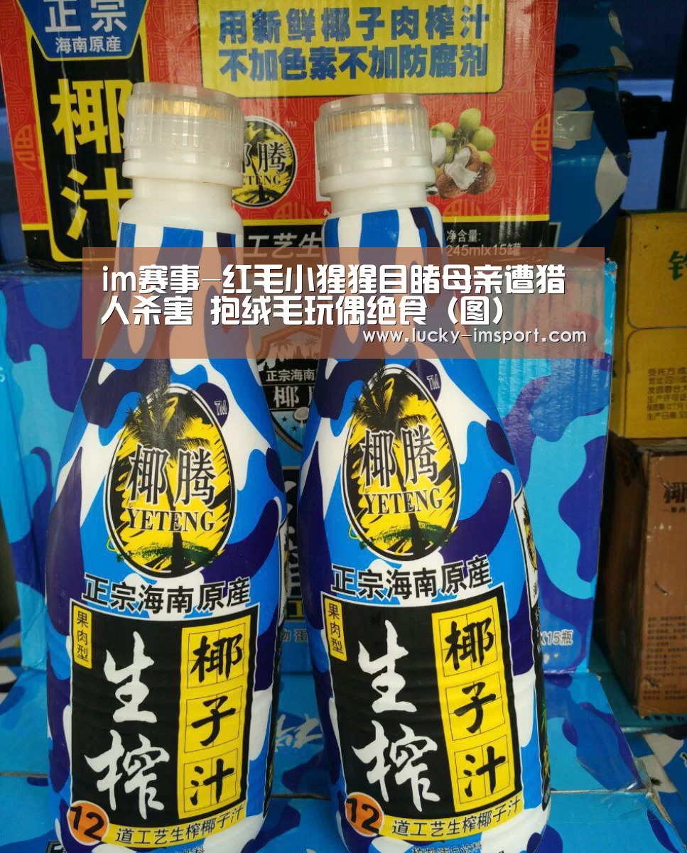 im赛事