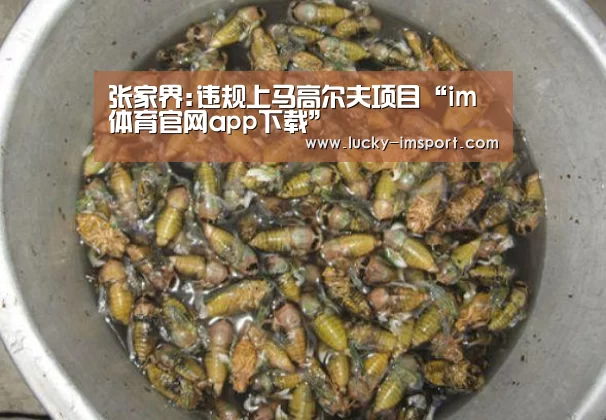 张家界:违规上马高尔夫项目“im体育官网app下载”