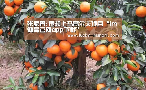 im体育下载